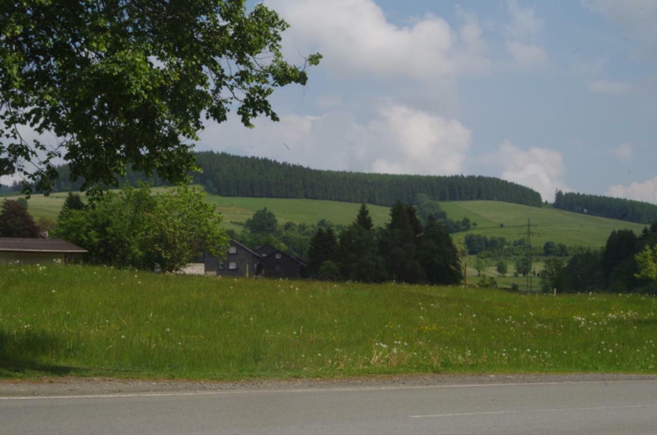 Appartamento Das Gelbe Haus 3 Winterberg Esterno foto